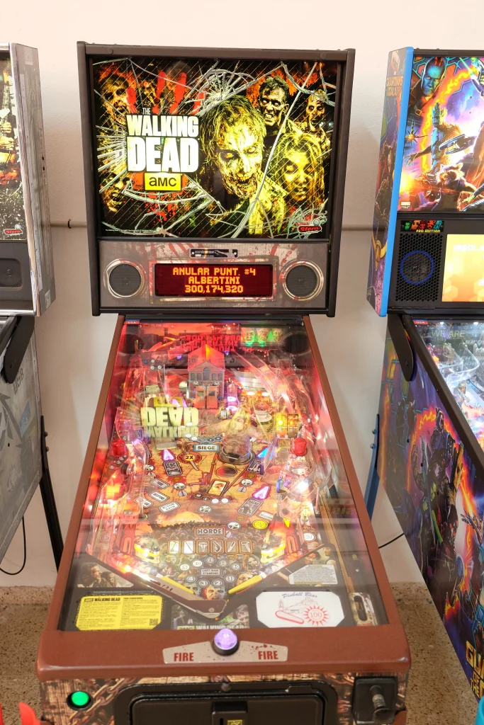The Walking Dead (LE)